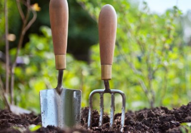 gardening