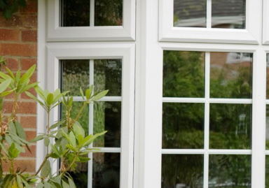 windows and doors